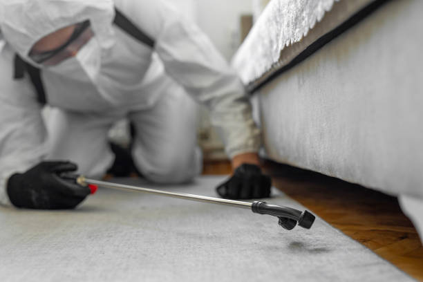 Professional Bed Bug Control technician working in Del Aire, CA